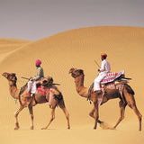 Two people riding camels in the desert