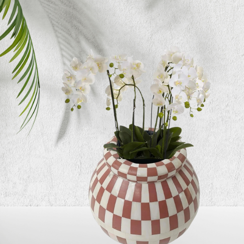Checkered patterned vase with white flowers on a light background