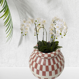 Checkered patterned vase with white flowers on a light background