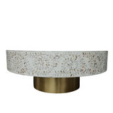 Mother of Pearl Inlay Coffee Table : Floral : White