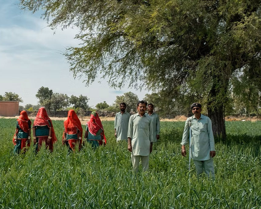 Rajasthan Illuminated : Mharo Khet Farm Tour & Degustation Upgrade