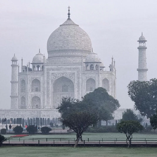 The Taj Mahal on a foggy day with trees in the foreground