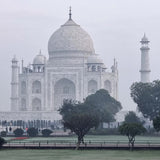 The Taj Mahal on a foggy day with trees in the foreground