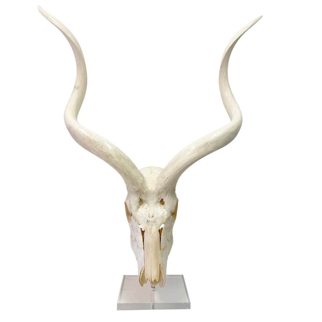 Large African Antelope Decor