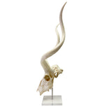 Large African Antelope Decor