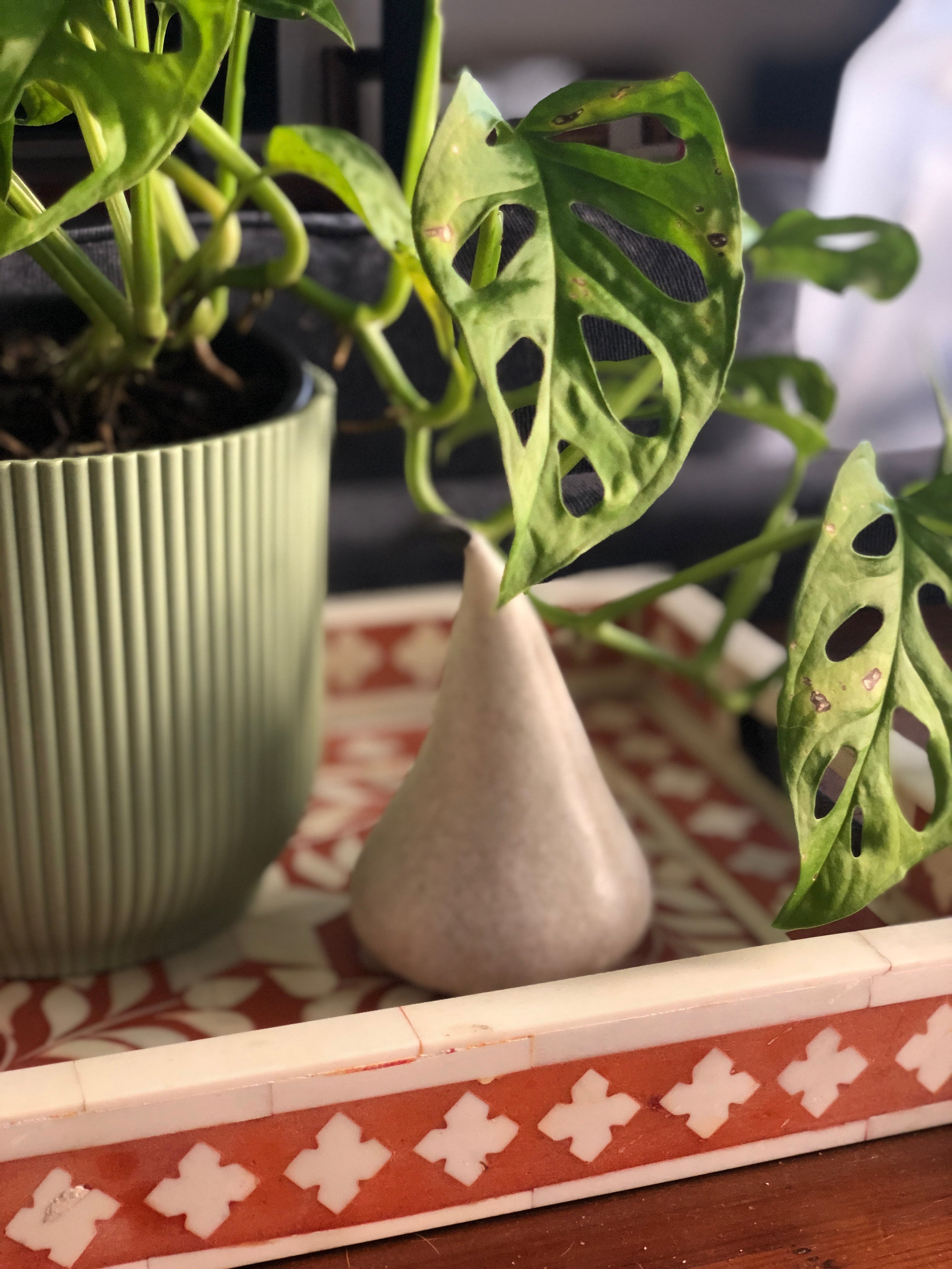 Bone Inlay Rectangular Tray : Floral : Orange