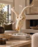 Large African Antelope Decor