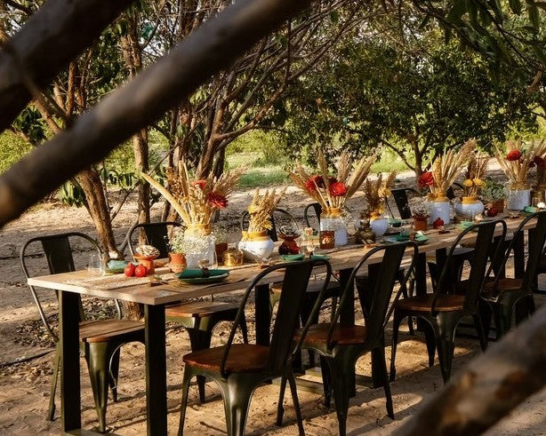 Rajasthan Illuminated : Mharo Khet Farm Tour & Degustation Upgrade