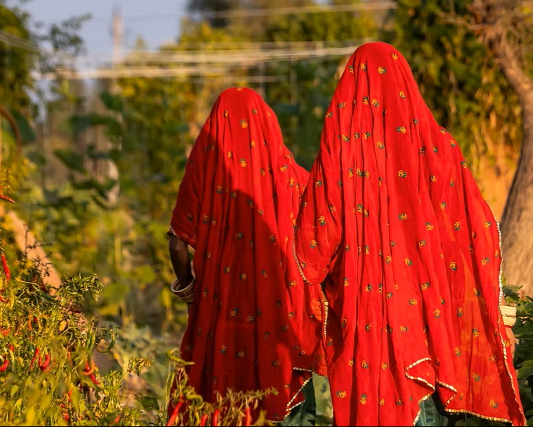 Rajasthan Illuminated : Mharo Khet Farm Tour & Degustation Upgrade