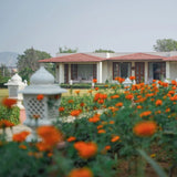 Traditional house with a garden of orange flowers in the foreground