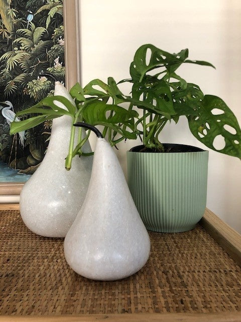 Marble Pear : White
